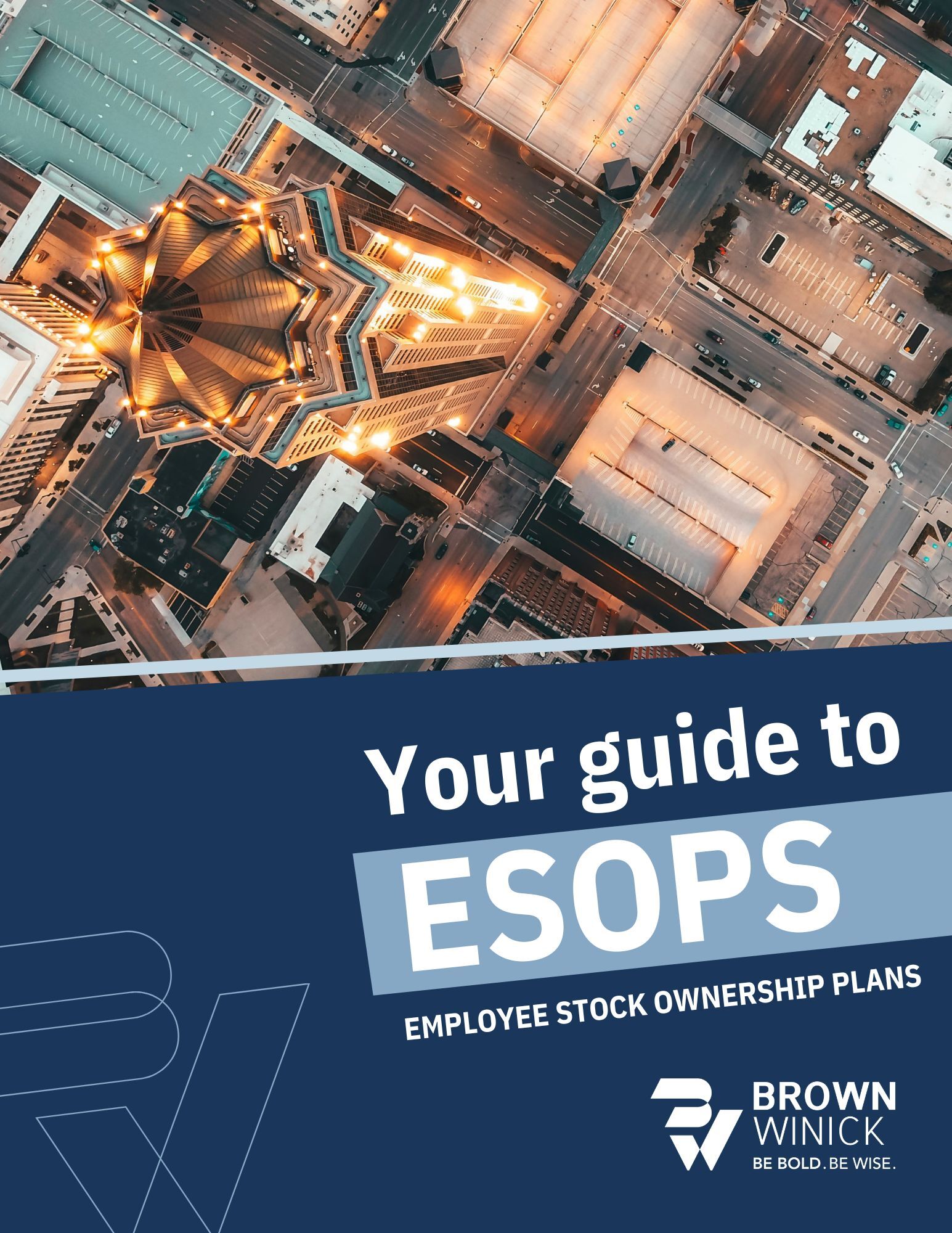 Updated  ESOP Guide.pdf